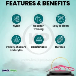 Coastal Single-Ply Nylon Dog Leash Neon Pink 5/8 in X 6 ft
