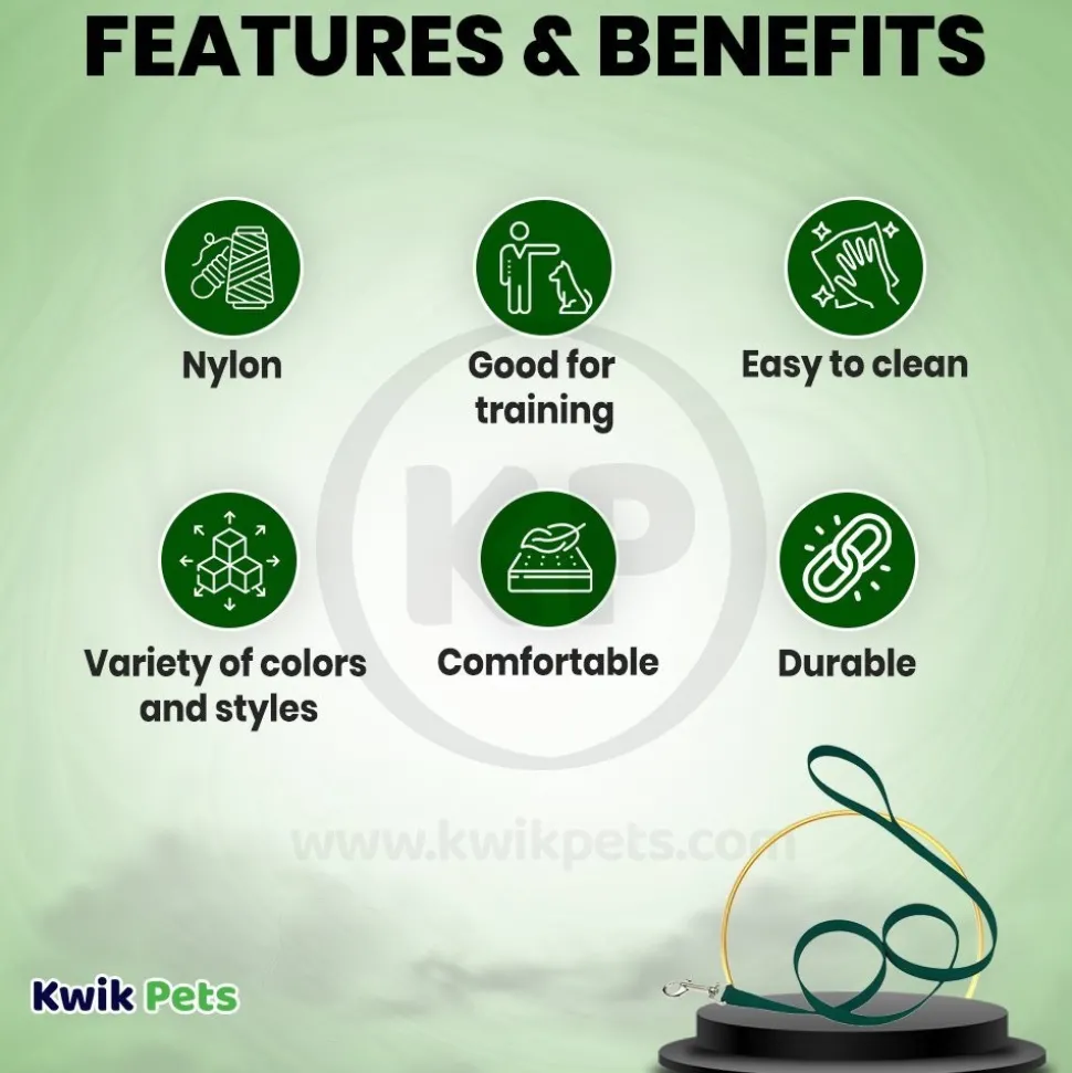 Coastal Single-Ply Nylon Dog Leash Hunter Green 5/8 in X 6 ft