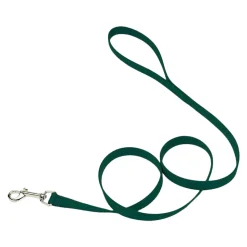 Coastal Single-Ply Nylon Dog Leash Hunter Green 5/8 in X 6 ft