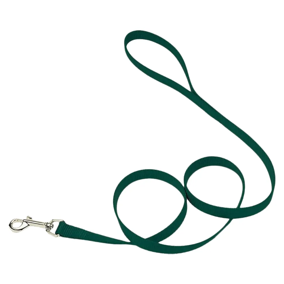 Coastal Single-Ply Nylon Dog Leash Hunter Green 5/8 in X 6 ft