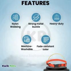 Coastal Water & Woods Adjustable Dog Collar Safety Orange 18-26 in