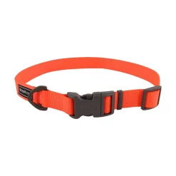 Coastal Water & Woods Adjustable Dog Collar Safety Orange 18-26 in