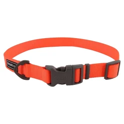 Coastal Water & Woods Adjustable Dog Collar Safety Orange 14-20 in
