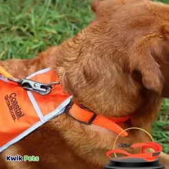 Coastal Water & Woods Dog Leash Safety Orange 6 ft