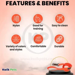 Coastal Water & Woods Dog Leash Safety Orange 6 ft