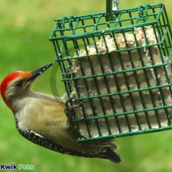 C&S High Energy Suet Treat for Wild Birds 11.75-oz