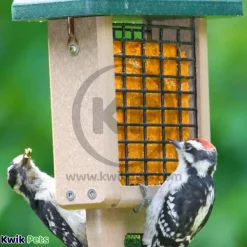 C&S Hot Pepper Delight No Melt Suet Dough for Wild Birds 11.75-oz
