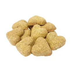Darford Grain Free Biscuits Breath Beaters Dog Treats Regular 12-oz