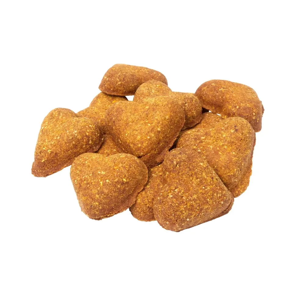 Darford Grain Free Biscuits Pumpkin Recipe Dog Treats Regular 12-oz