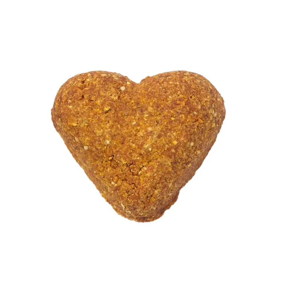 Darford Grain Free Biscuits Pumpkin Recipe Dog Treats Regular 12-oz