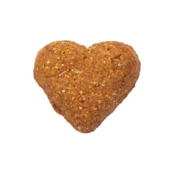 Darford Grain Free Biscuits Salmon Recipe Dog Treats Regular 12-oz