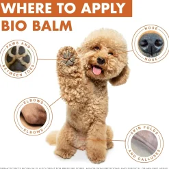 Dermoscent Bio Balm Skin & Paw Soother For Dogs 1.67-oz