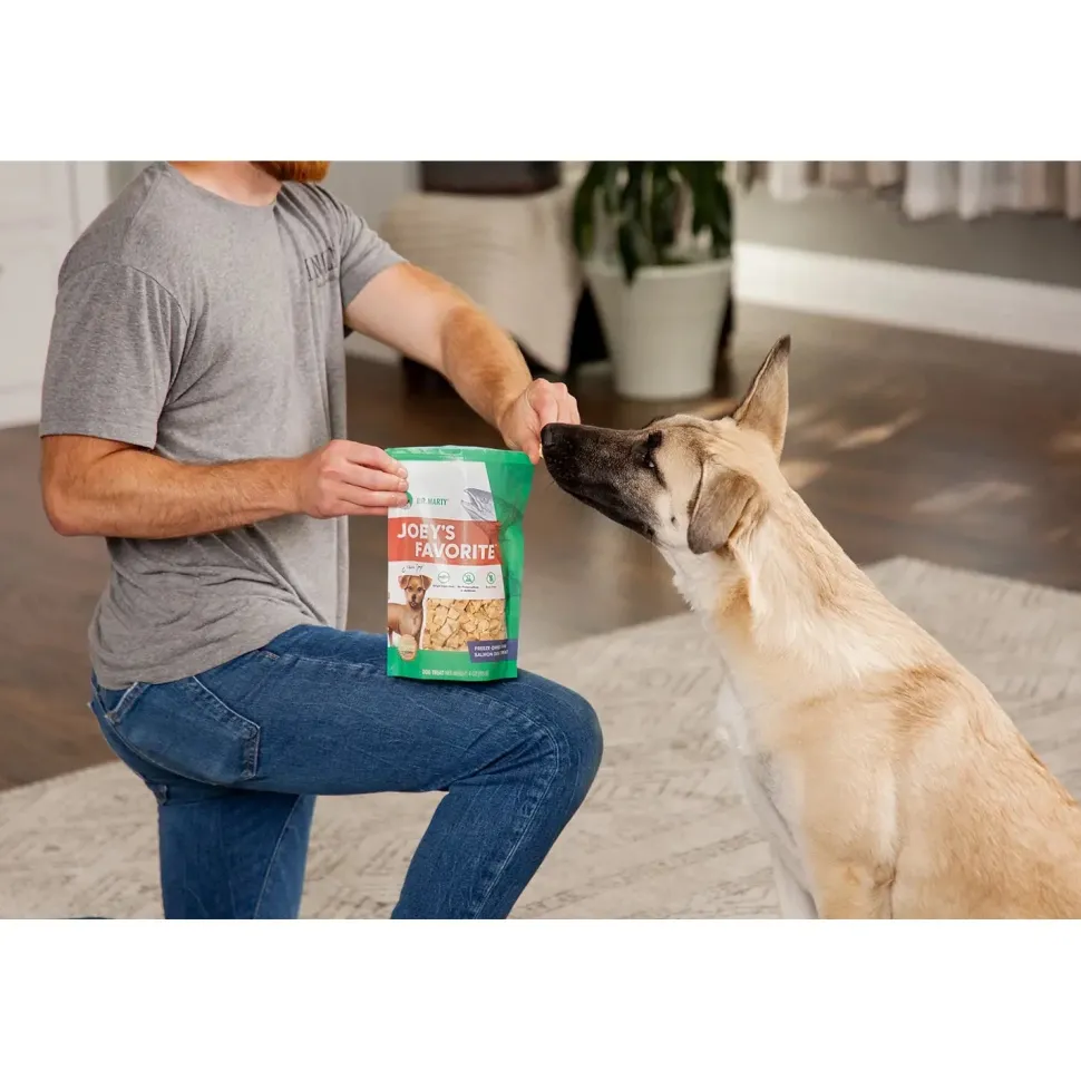 Dr. Marty Joey's Favorite Freeze-Dried Dog Treats Salmon 4-oz