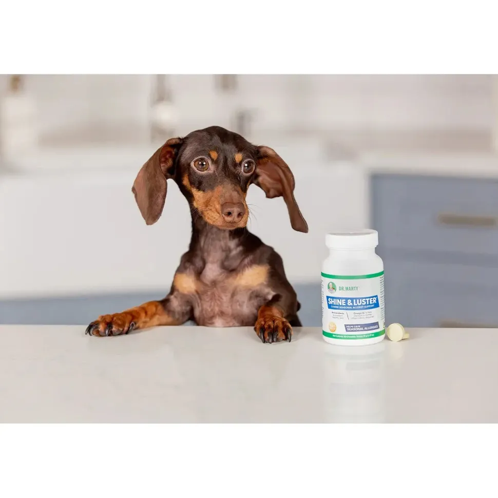 Dr. Marty Shine & Luster Canine Seasonal Allergy Support Dog Chewable Tablet 60 Count