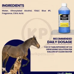 Durvet Chlorhexidine Solution 16-oz
