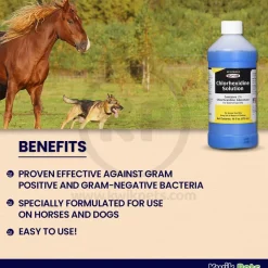 Durvet Chlorhexidine Solution 16-oz