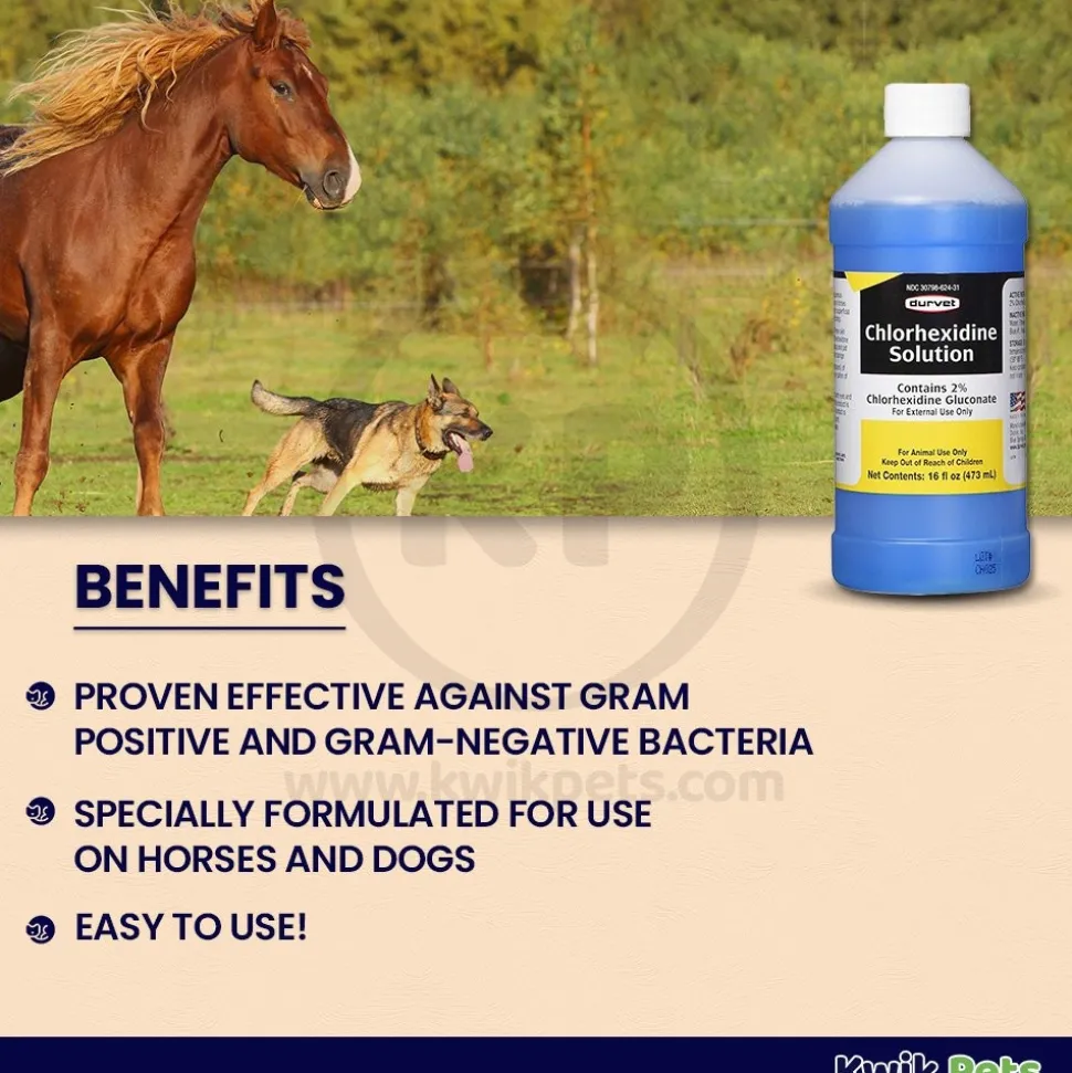 Durvet Chlorhexidine Solution 16-oz