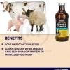 Durvet High Level Vitamin B Complex Injectable Sterile Solution 250 ml