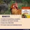 Durvet Layer Boost with Omega-3 for Layer Chickens 4 gram