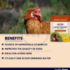 Durvet Layer Boost with Omega-3 for Layer Chickens 4 gram