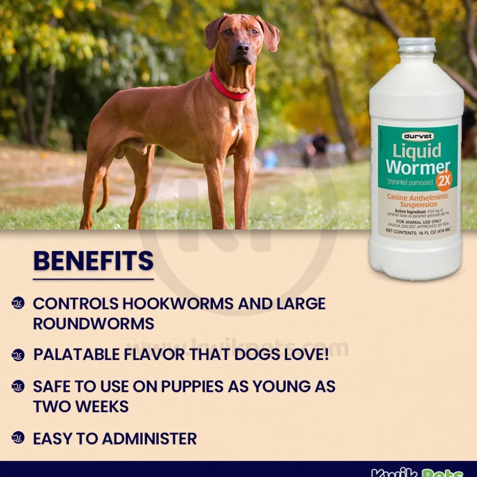Durvet Liquid Wormer 2X for Dogs 16-oz