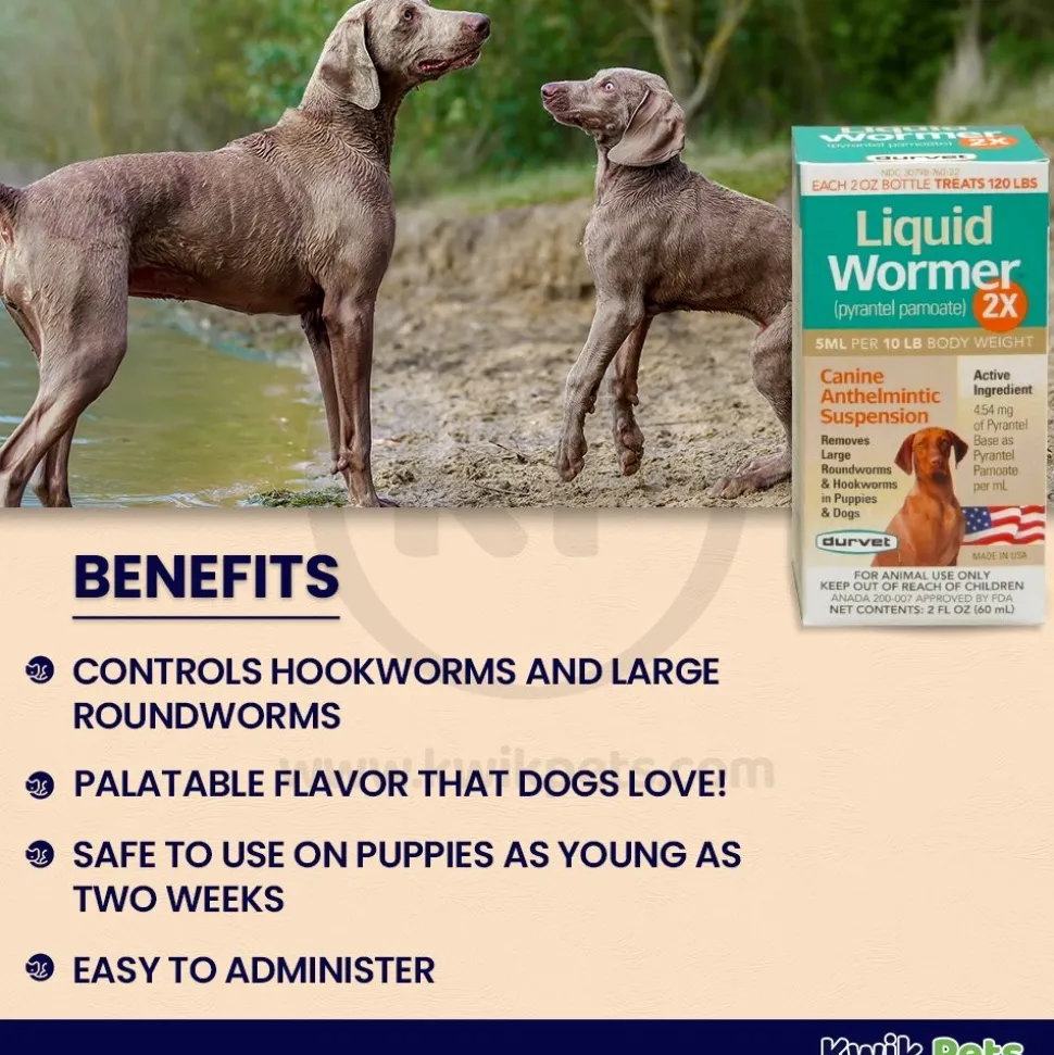 Durvet Liquid Wormer 2X for Dogs 2-oz