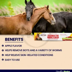 Durvet lvermectin Horse Dewormer Paste Apple Flavor 0.21-Oz