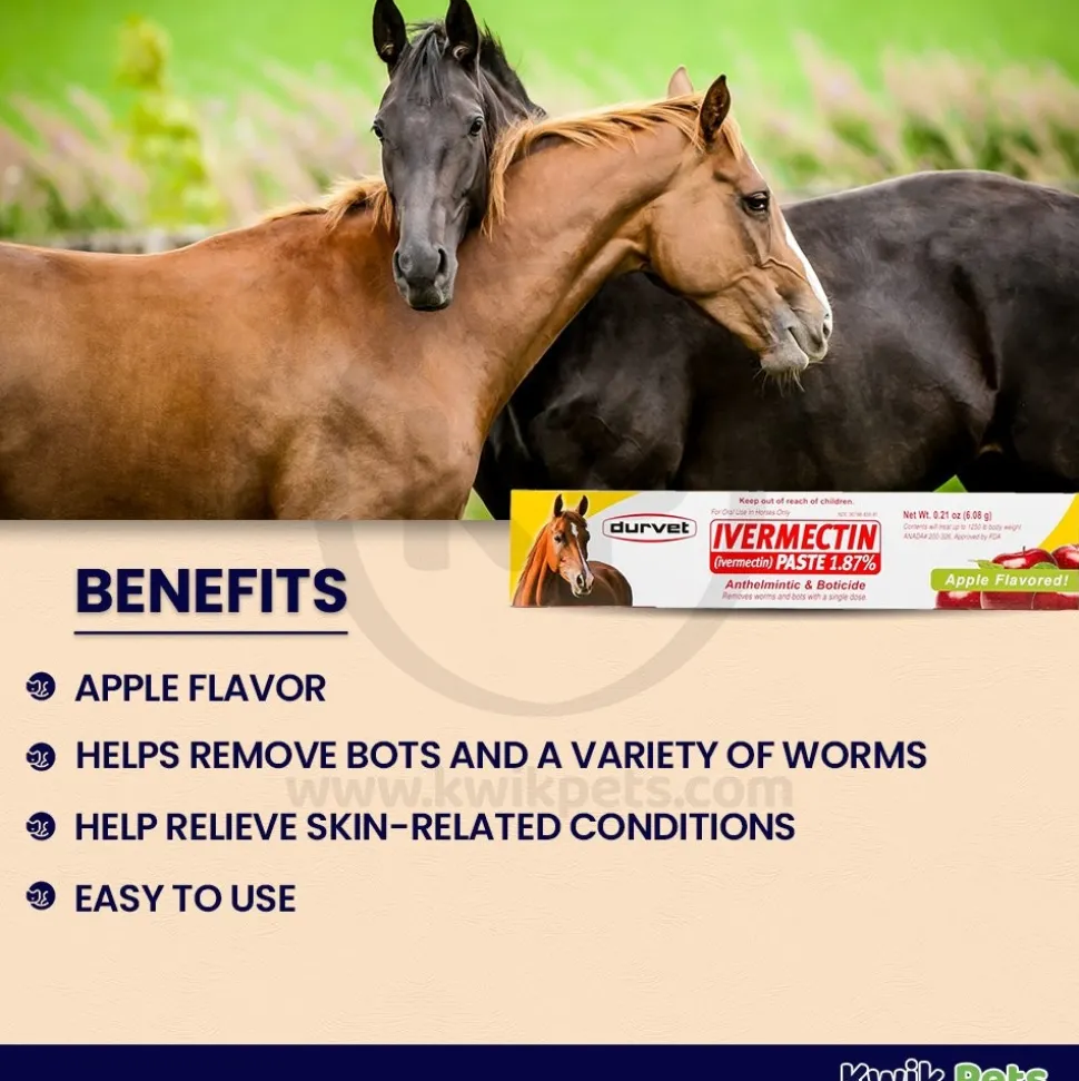 Durvet lvermectin Horse Dewormer Paste Apple Flavor 0.21-Oz