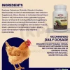 Durvet Probiotics Daily Poultry Supplement 100 gram