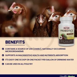Durvet Probiotics Daily Poultry Supplement 100 gram
