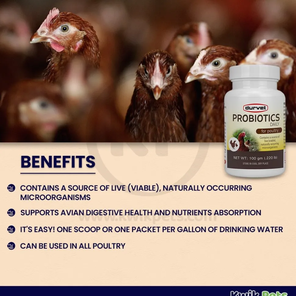 Durvet Probiotics Daily Poultry Supplement 100 gram