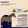 Durvet Pyrantel Horse Dewormer Paste 23.6 Gram