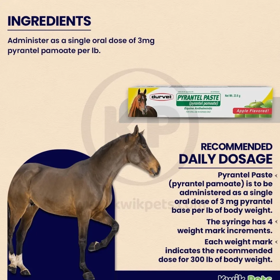 Durvet Pyrantel Horse Dewormer Paste 23.6 Gram