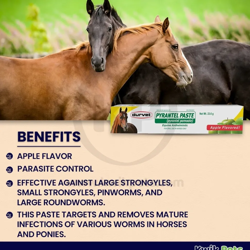 Durvet Pyrantel Horse Dewormer Paste 23.6 Gram