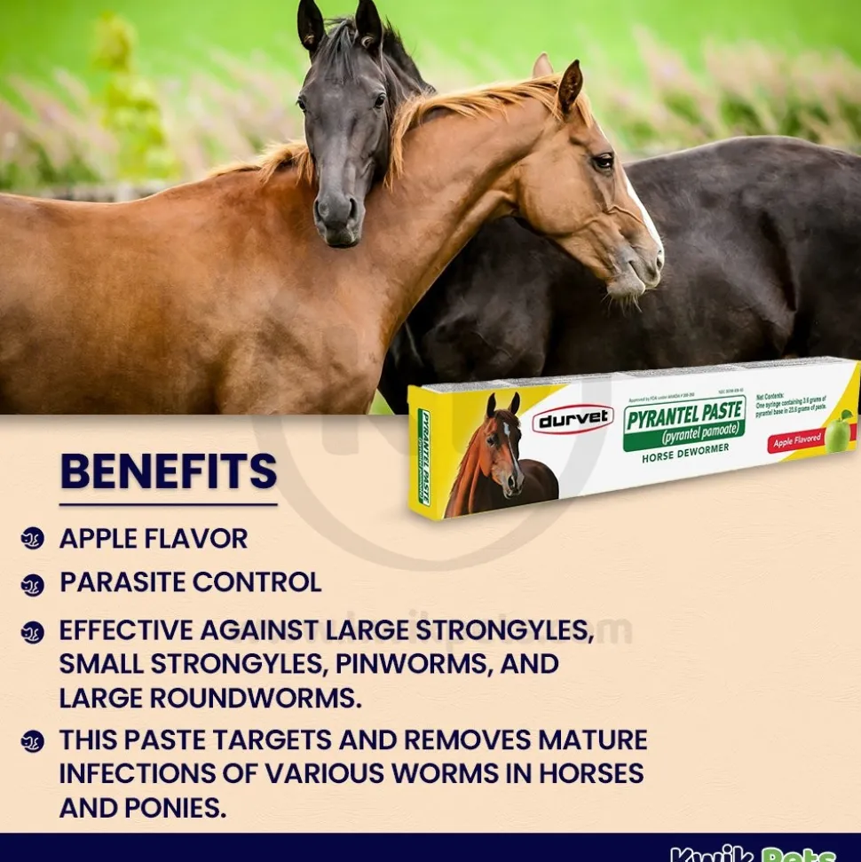 Durvet Pyrantel Paste Apple Flavored Horse Dewormer 23.6 gram