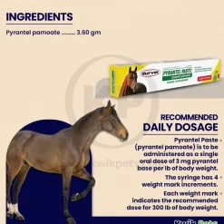 Durvet Pyrantel Paste Apple Flavored Horse Dewormer 23.6 gram