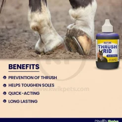 Durvet Quick Action Thrush RID Hoof Care 2-oz