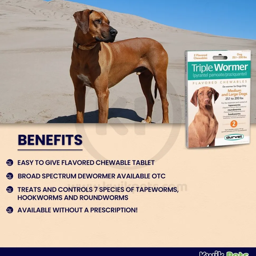 Durvet Triple Wormer Chewable Tablets for Medium & Large Dogs 2 Count