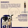 Durvet Vitamin B Complex Oral Gel 30 ml