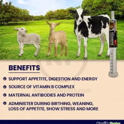 Durvet Vitamin B Complex Oral Gel 30 ml