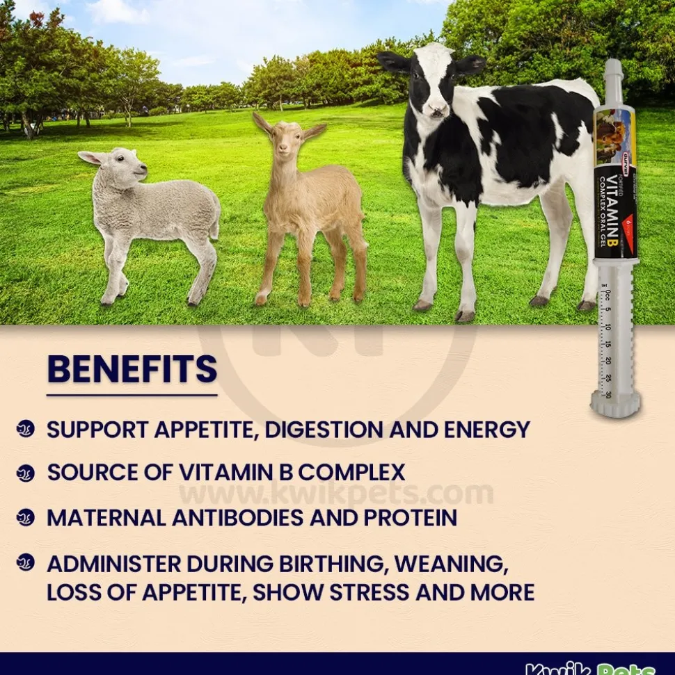 Durvet Vitamin B Complex Oral Gel 30 ml