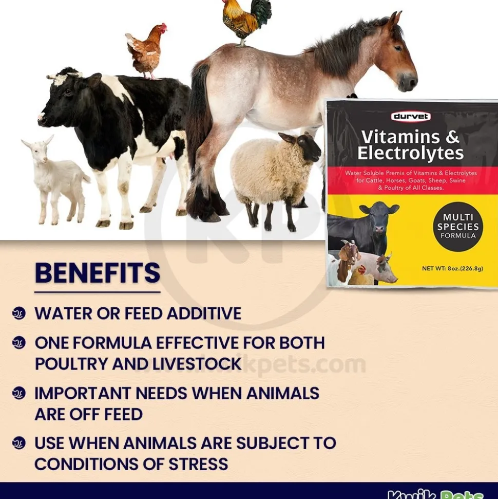 Durvet Vitamins & Electrolytes Powder Supplement 8-oz