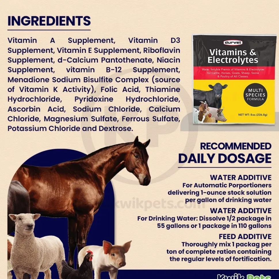 Durvet Vitamins & Electrolytes Powder Supplement 8-oz