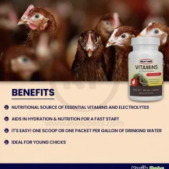 Durvet Vitamins & Electrolytes Poultry Nutrient Supplement 100g