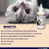 Durvet Wormeze Dewormer Liquid for Cats & Kittens 4-oz