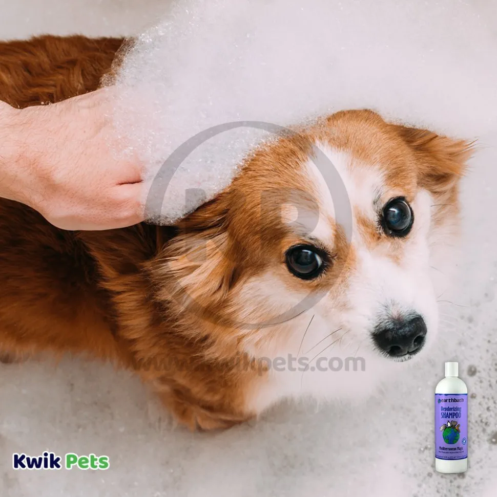 Earthbath Deodorizing Shampoo for Dogs Mediterranean Magic 16-oz