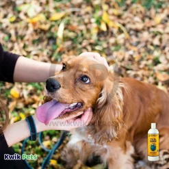 Earthbath Dirty Dog Shampoo Sweet Orange Oil 16-oz