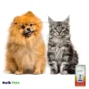 Earthbath Grooming Wipes For Dogs & Cats Mango Tango 100 Count