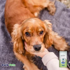 Earthbath Grooming Wipes for Dogs Green Tea & Awapuhi 100 Count