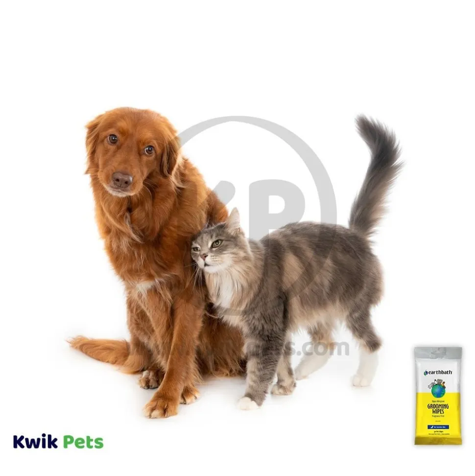 Earthbath Hypo-Allergenic Pet Grooming Wipes Fragrance Free 100 Count